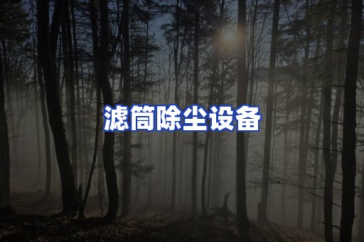 滤筒除尘设备