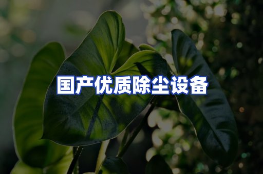 国产优质除尘设备